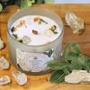 Bougie Equilibre Spirituel Cristal de Roche & Jasmin - 256g Green Tree Candle
