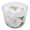 Bougie Equilibre Spirituel - Cristal de Roche & Jasmin - 256g