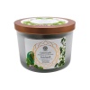 Bougie Bonne chance - Aventurine Verte & Patchouli - 256g Green Tree Candle