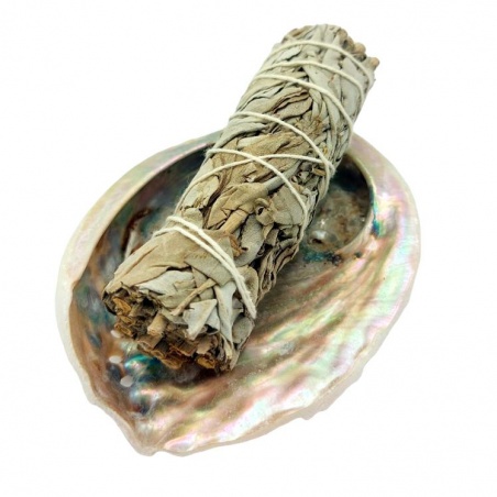 Sauge blanche à brûler - Smudge stick