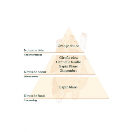 Synergie d'Huiles Essentielles à diffuser Flocon Epicé Distillerie Saint-Hilaire