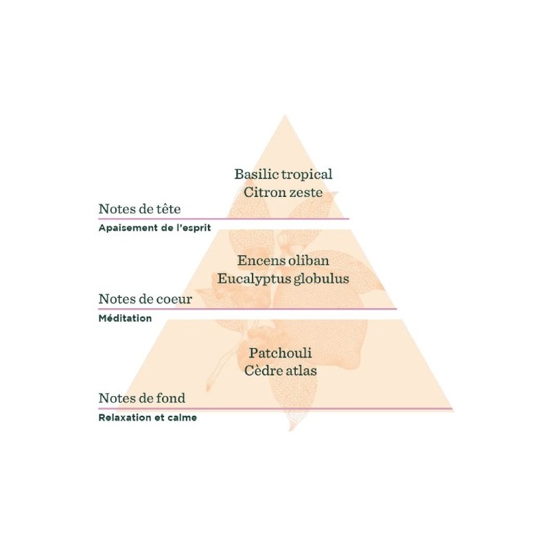 Synergie d'Huiles Essentielles à diffuser Esprit Yoga Distillerie Saint-Hilaire