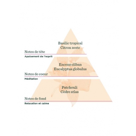 Synergie d'Huiles Essentielles à diffuser Esprit Yoga Distillerie Saint-Hilaire