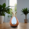 Diffuseur à ultrason PureZen Vase Design Esoterra