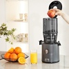 Extracteur de jus H330P - Anthracite Hurom