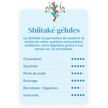 Les bienfaits du champignon Shiitaké