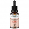 Complexe gemmothérapie Jambes - macérat de bourgeons bio Distillerie Saint-Hilaire
