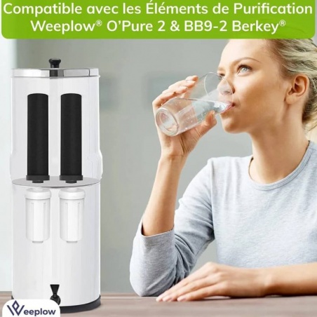 Cartouche pour filtre Weeplow O'Pure 2B - lot de 2