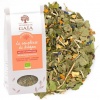 Tisane Anti-inflammatoire BIO La Souplesse du Dragon - 70g Les jardins de Gaïa