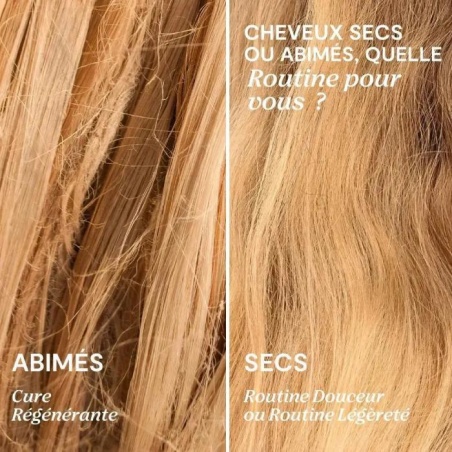 Masque Régénérant pour cheveux abimés par LAO Care