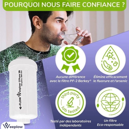 Cartouche Weeplow Blanche (O'Pure 2B) pour fluorure et arsenic - lot de 2