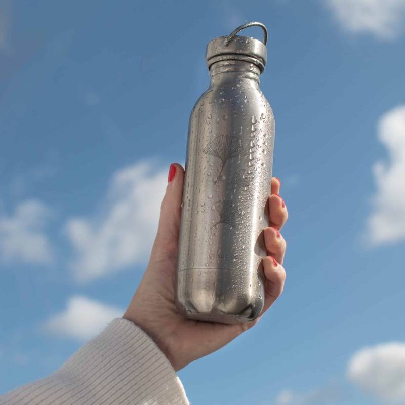 Gourde inox Daily 450 ml - Ginkgo Gaspajoe