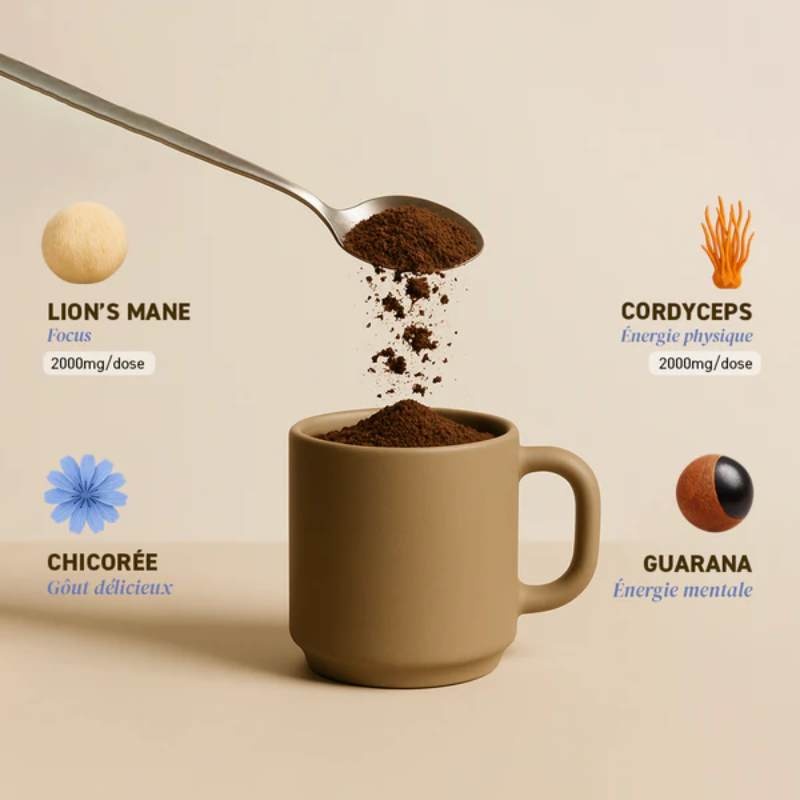 Boisson Boost - Chicorée, Guarana & Champignons French Mush