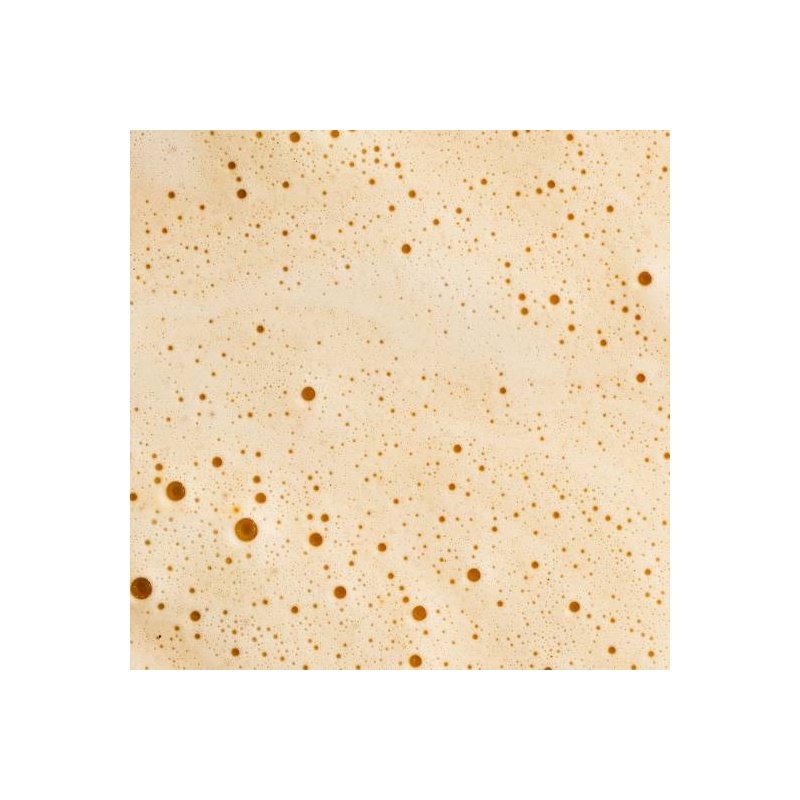 Texture Original Chaï nüMorning