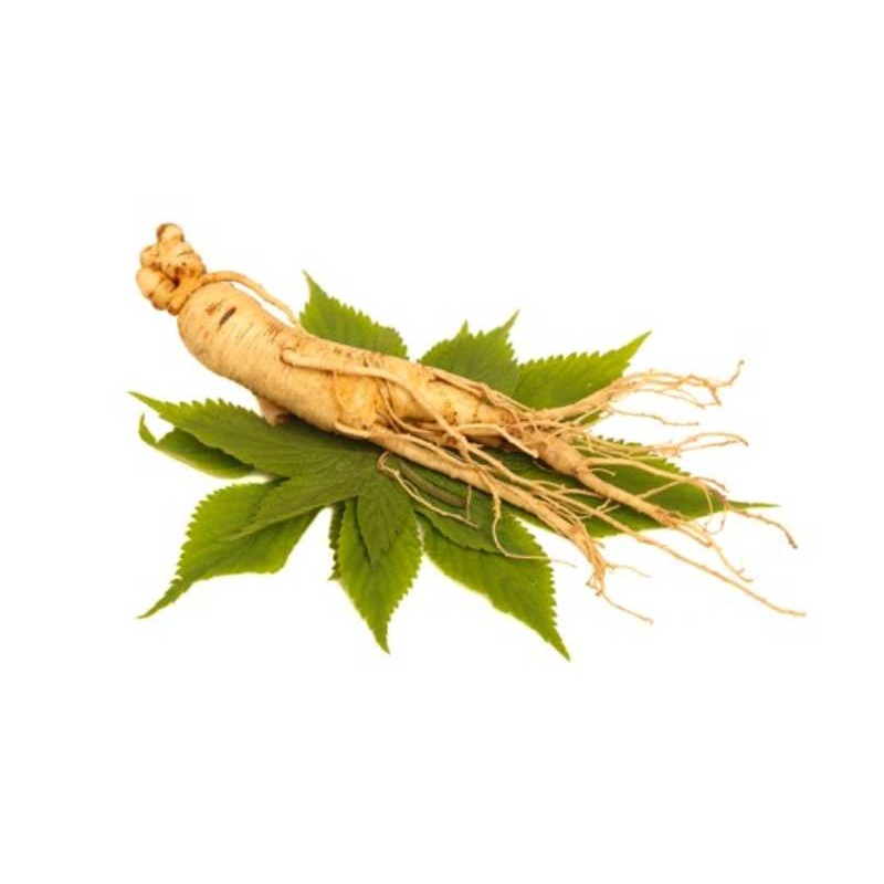 Ginseng - 60 gélules Laboratoires Mességué