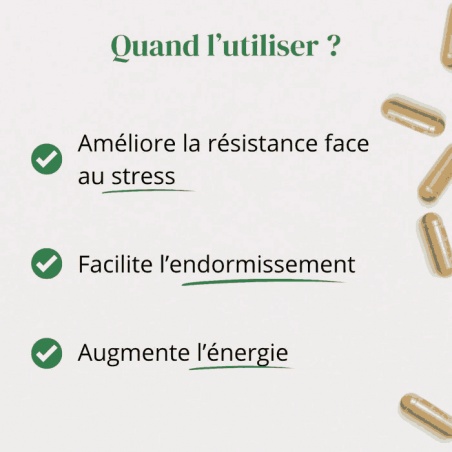 Utilisation formule Ashwagandha + Magnésium + Tryptophane Argalys