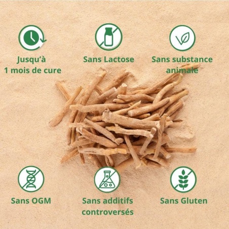 Avantages Ashwagandha Argalys