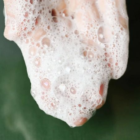 Soin Lavant Purifiant