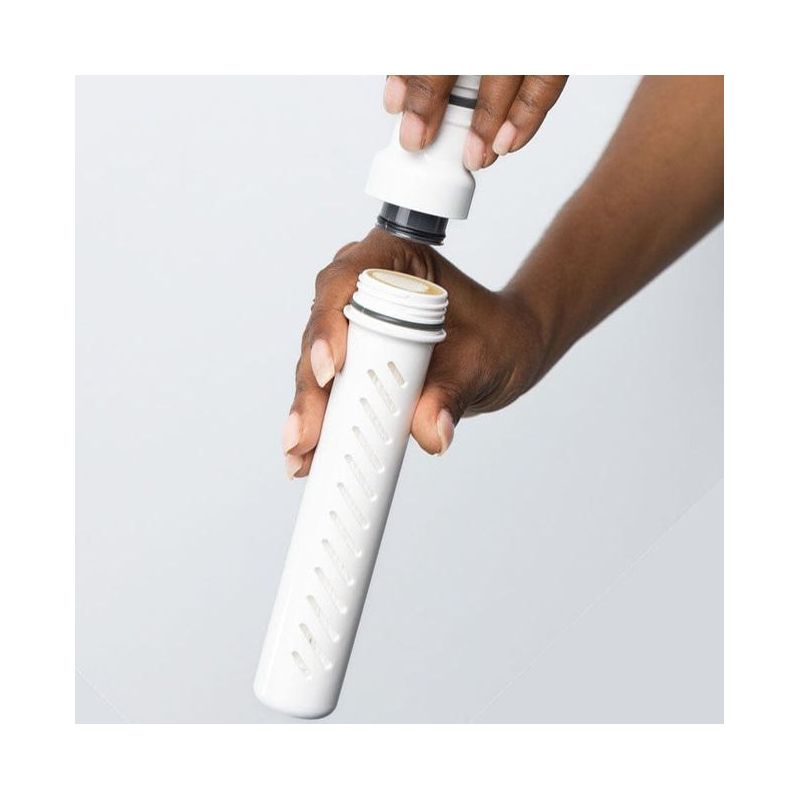 Filtre de rechange pour gourde Lifestraw Go (après 2023)
