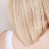 Shampoing solide Cheveux Gras