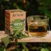 Infusion Ortie bio - 20 infusettes