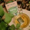 Infusion Ortie bio - 20 infusettes