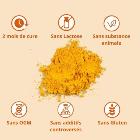 Curcuma BCM95® + Manganèse et Vitamine C - Cure 2 mois