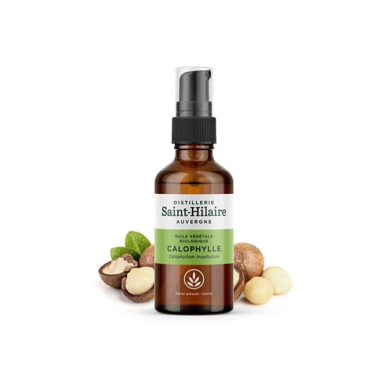 Huile végétale Calophylle Bio - Saint Hilaire - 50 ml