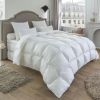 Couette Népal - TEMPÉRÉE - 80% Duvet de Canard - 240x260 cm