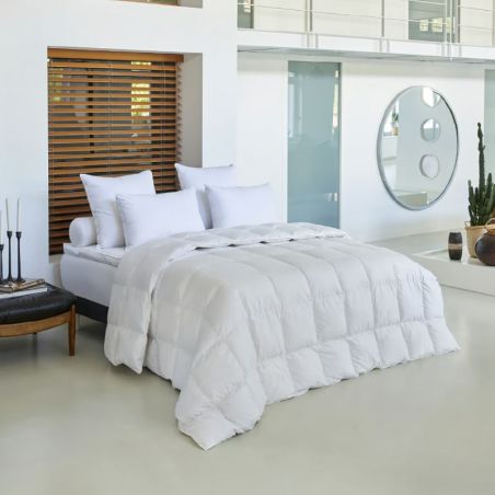 Couette Galaxie Light - TEMPÉRÉE - 90% Duvet d'Oie - 220x240 cm - Drouault