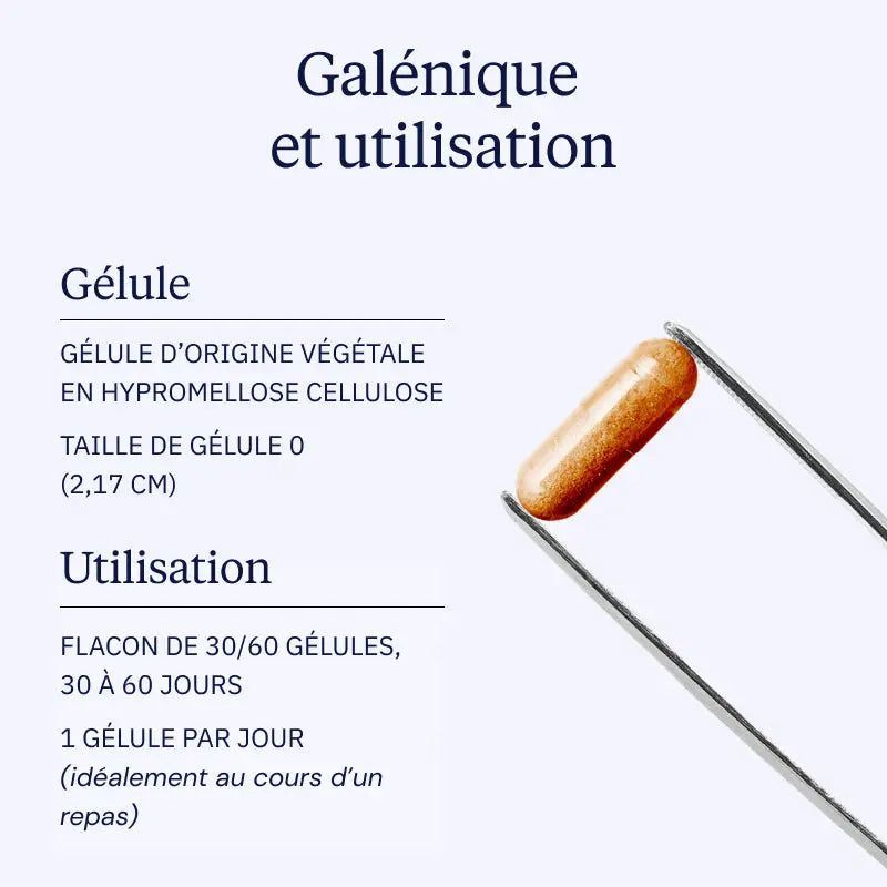 Curcumine BIO optimisée - Dynveo