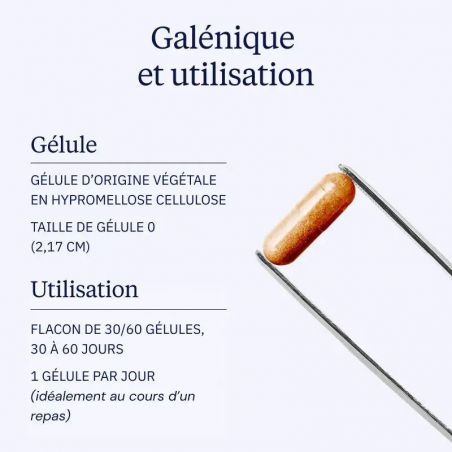 Curcumine BIO optimisée - Dynveo
