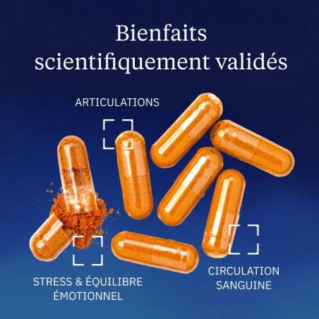 Curcumine BIO optimisée - Dynveo