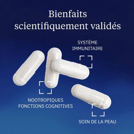 Avantages Vitamine C Liposomale Dynveo