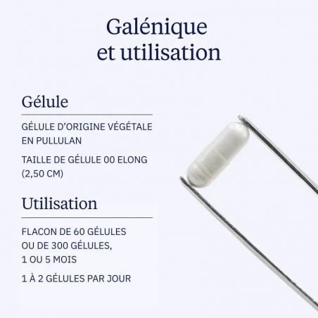 Galénique Vitamine C Liposomale - 60 gélules