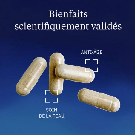 Avantages Collagène végétarien Ovoderm® Dynveo