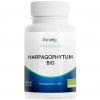 Harpagophytum BIO concentré - 60 gélules - Dynveo