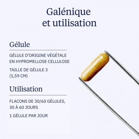 Galénique Harpagophytum BIO Dynveo