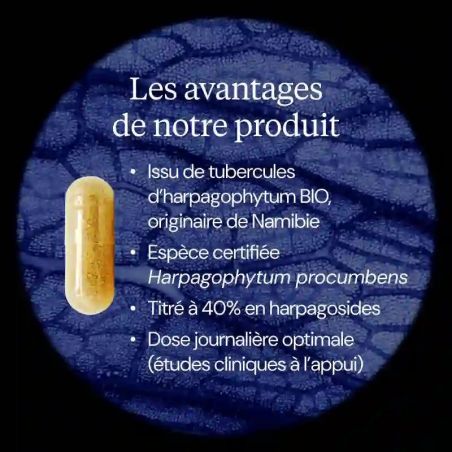 Avantages Harpagophytum BIO