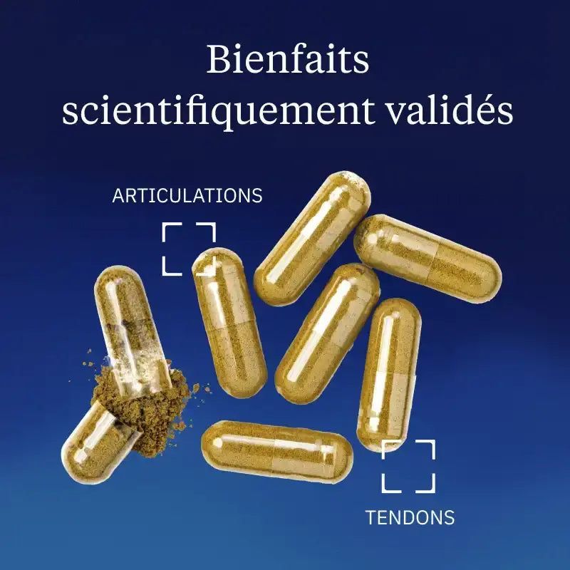 Bienfaits Harpagophytum BIO concentré Dynveo