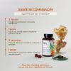 Gummies Focus Lion's Mane - Saveur Tutti Frutti - 42 gummies