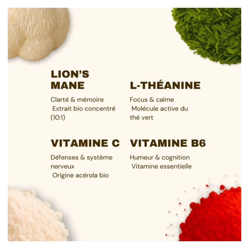 Gummies Focus Lion's Mane French Mush