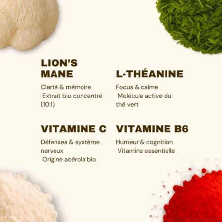Gummies Focus Lion's Mane French Mush