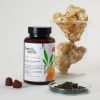 Gummies Focus Lion's Mane - Saveur Tutti Frutti - 42 gummies