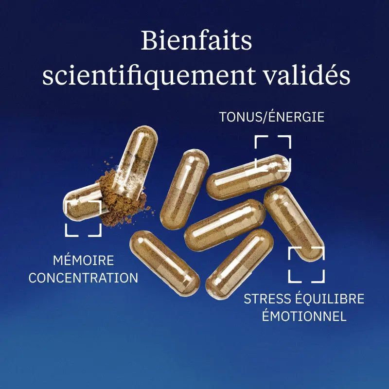 Bienfaits  Rhodiola rosea Dynveo