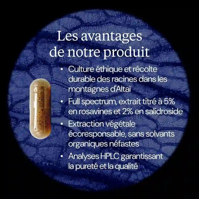 Avantages Rhodiola rosea