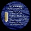 Chardon Marie BIO Dynveo