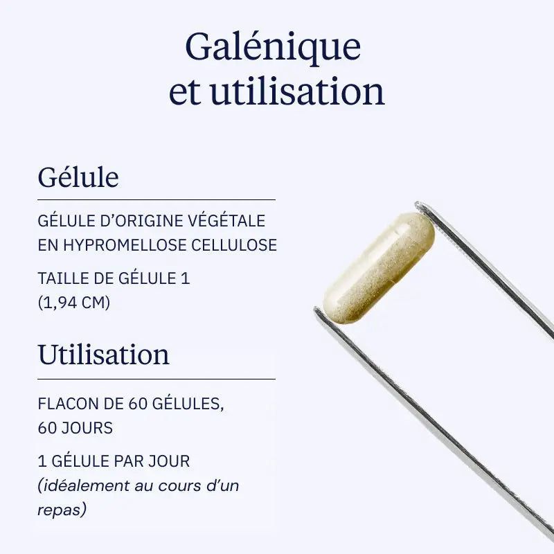 Chardon Marie BIO - galénique