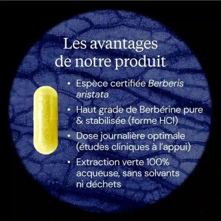 Berbérine pure Dynveo