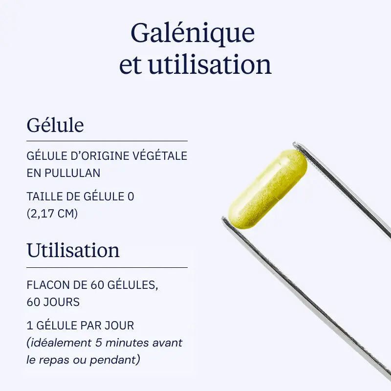 Berbérine pure 300 mg - Galénique - Dynveo